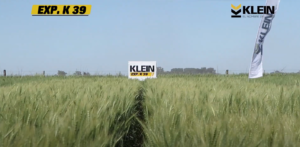 Lee más sobre el artículo Recorrido Virtual 2020 –  Experimental K39